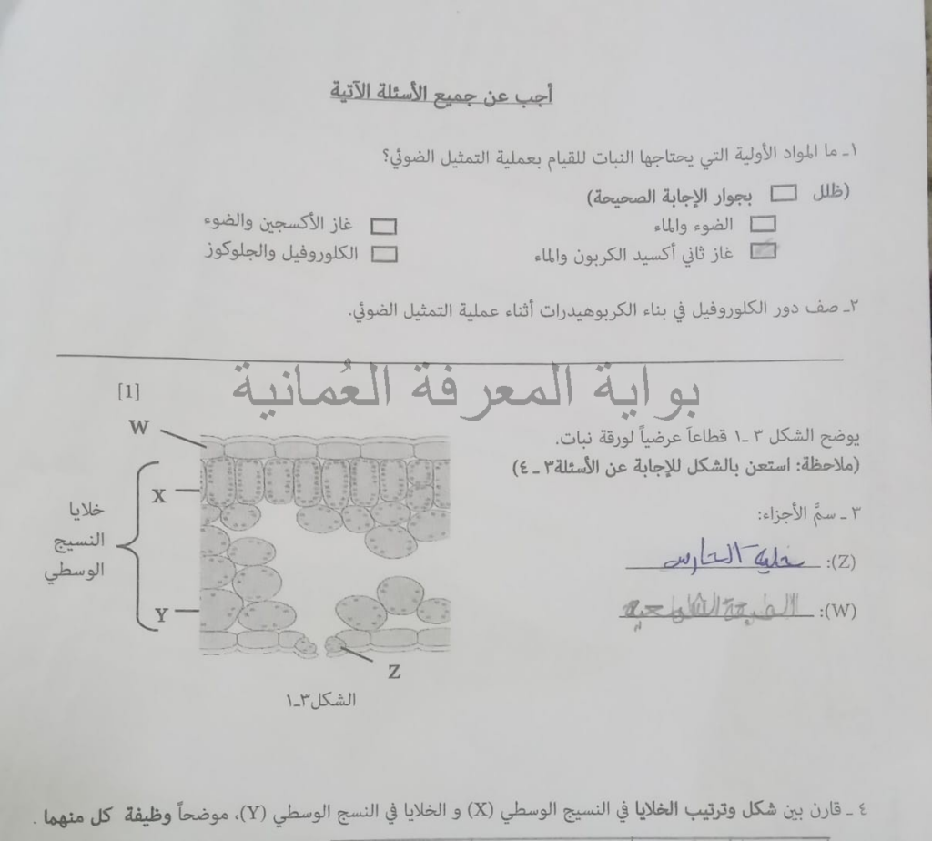 اختبار قصير 1 أحياء الصف التاسع الفصل الثاني