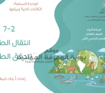 انتقال الطاقة في النظام البيئي – الصف السابع (الدرس 7-2)